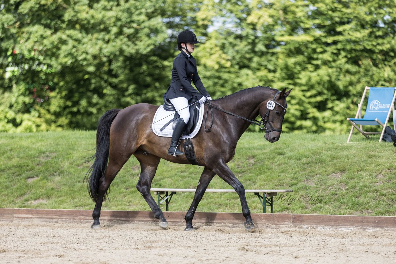 Bild 215 - Pony Akademie Turnier
